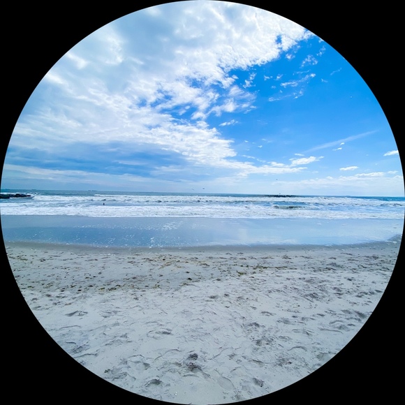 seabrinaann